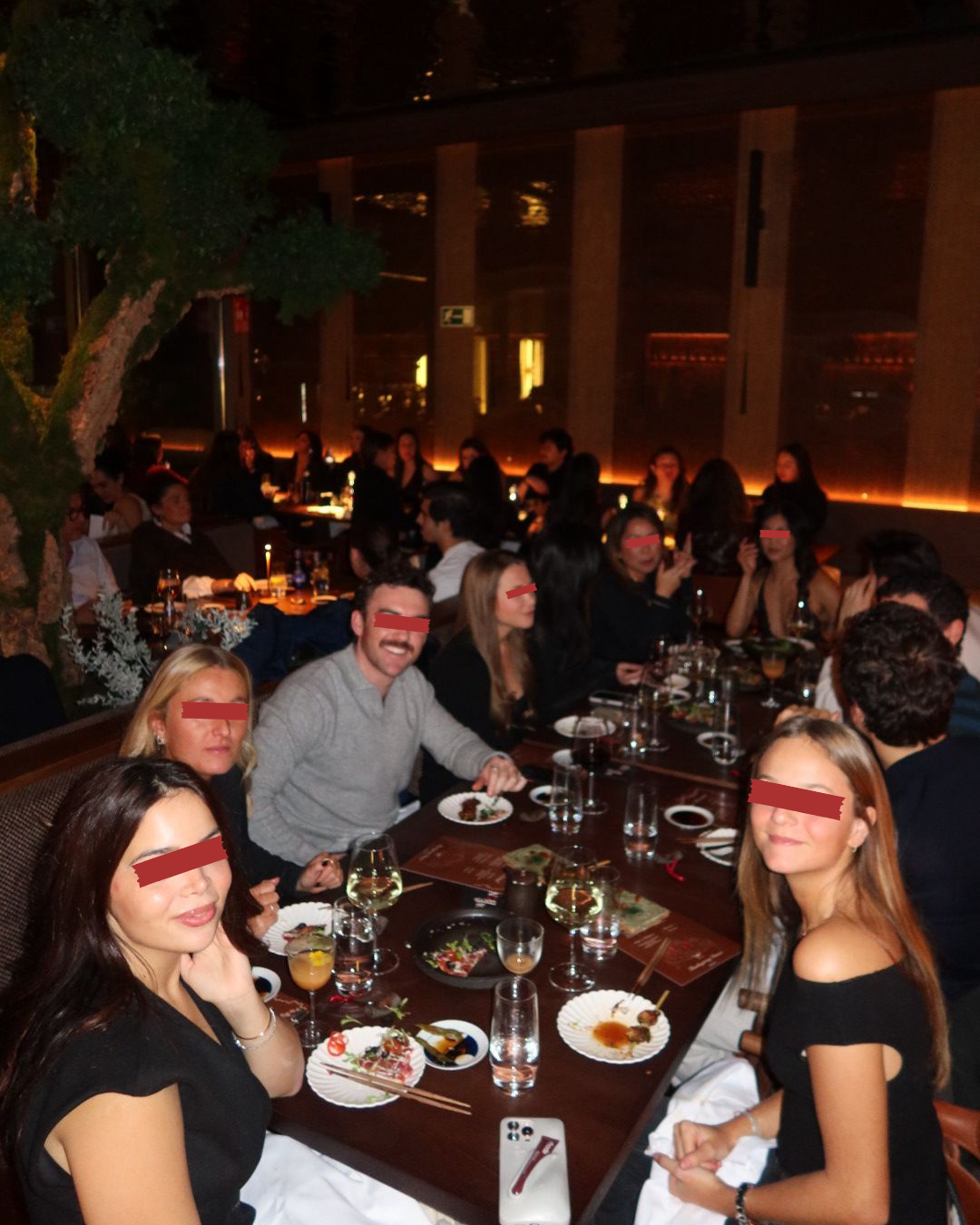 Group Dinner, Madrid