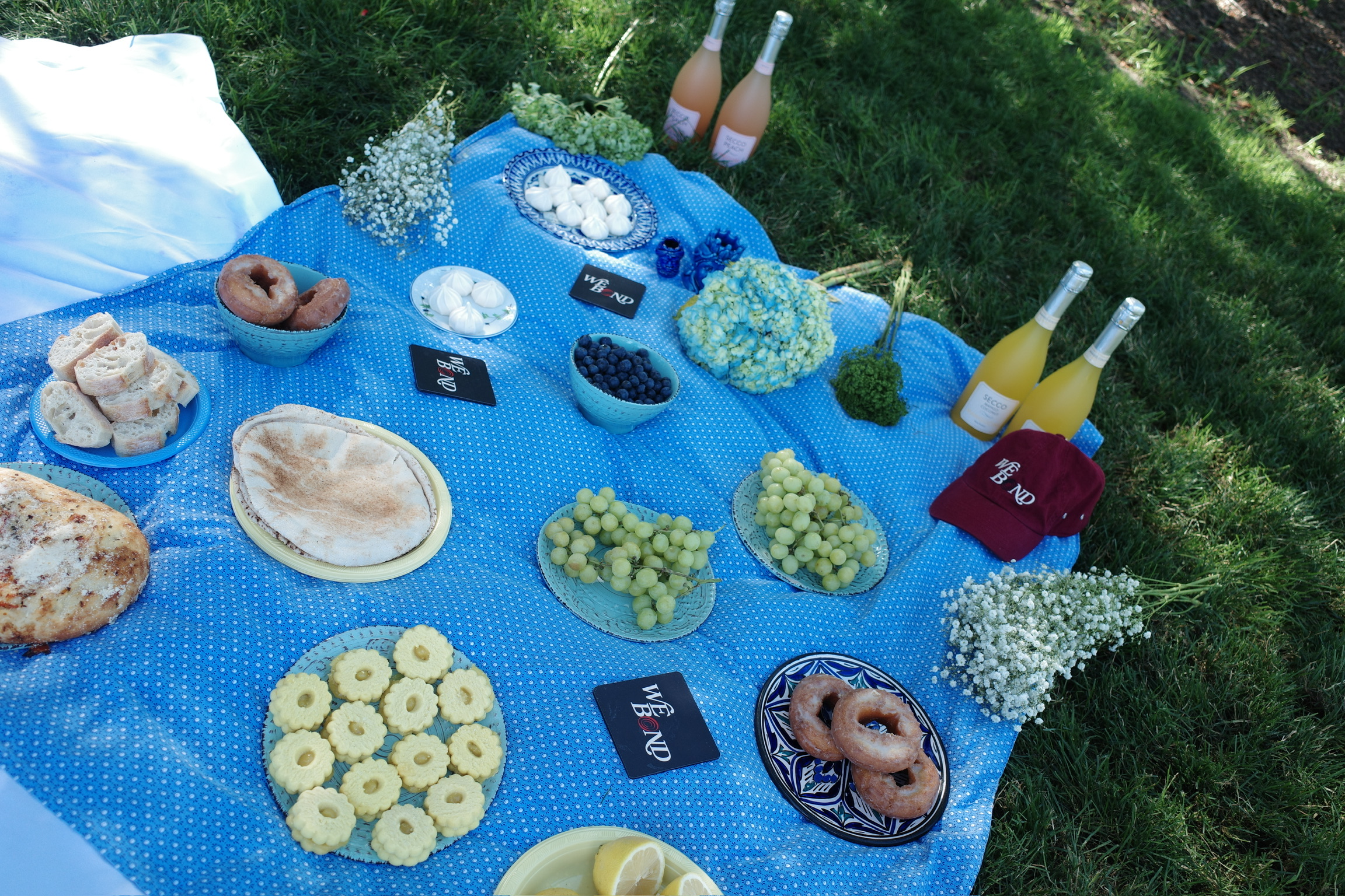 Summer Picnic